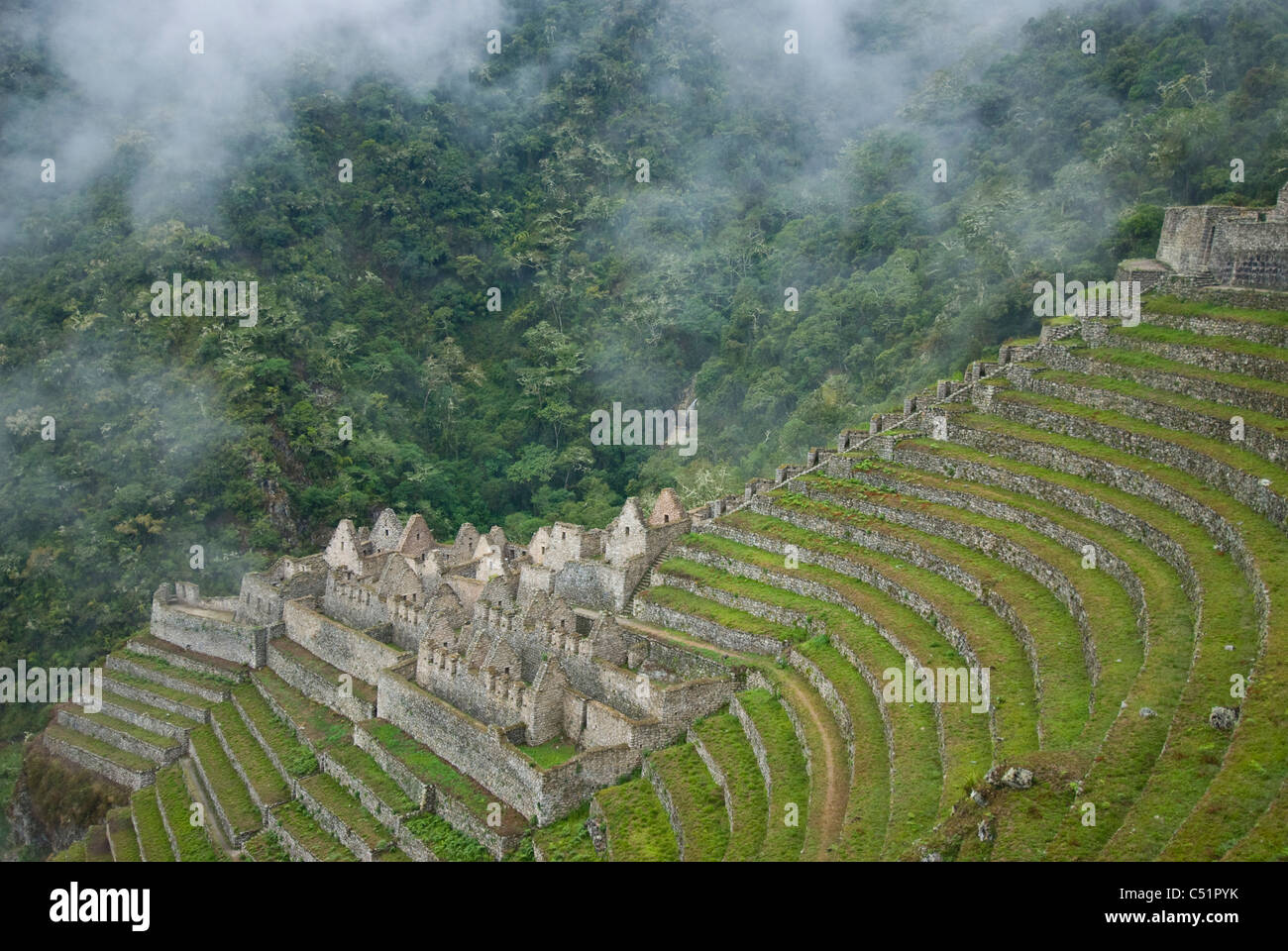 Winay Wayna (Forever Young) Inca Ruinen entlang des Inka Trail in den peruanischen Anden Stockfoto
