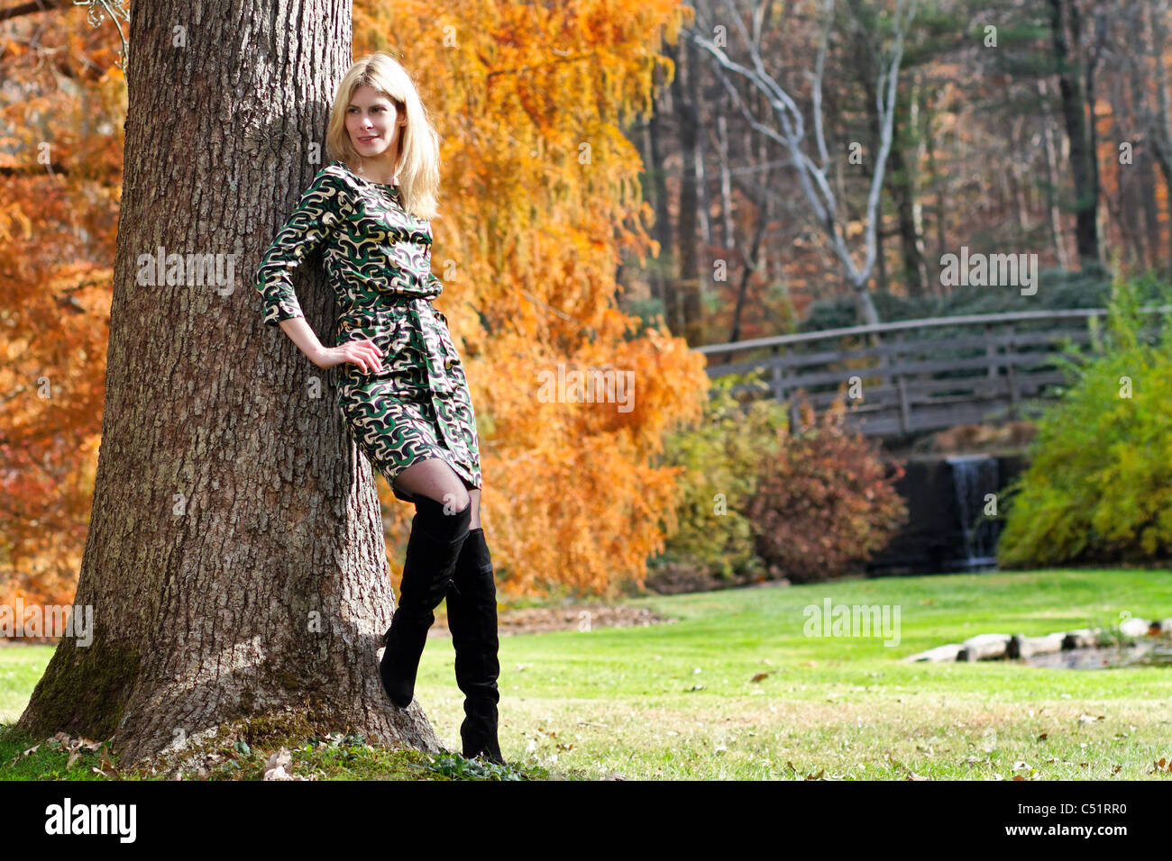 Blonde Frau lehnte sich gegen einen Baum in einem Park, New Jersey Stockfoto