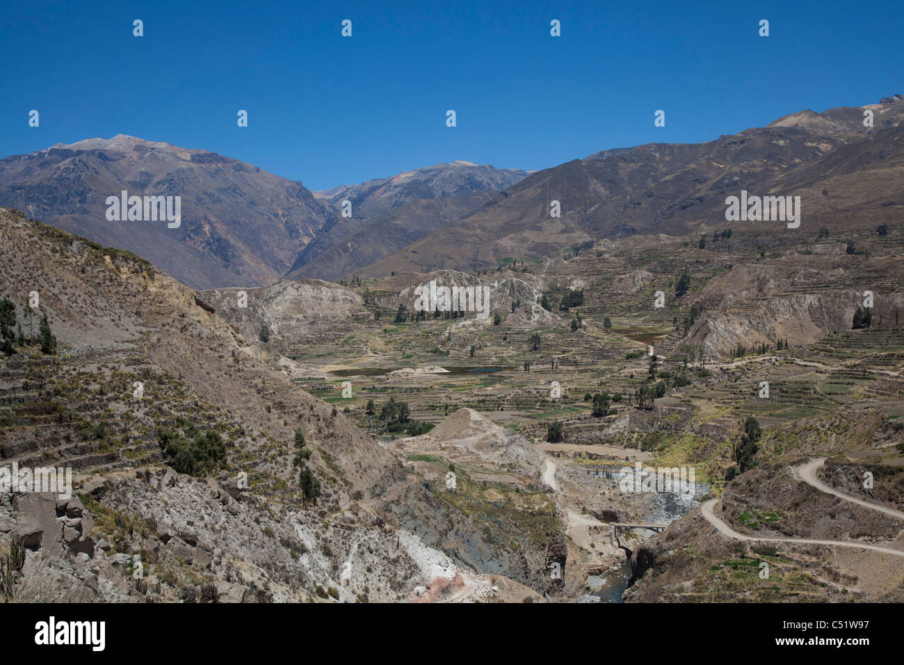 Colca Canyon, Peru Stockfoto