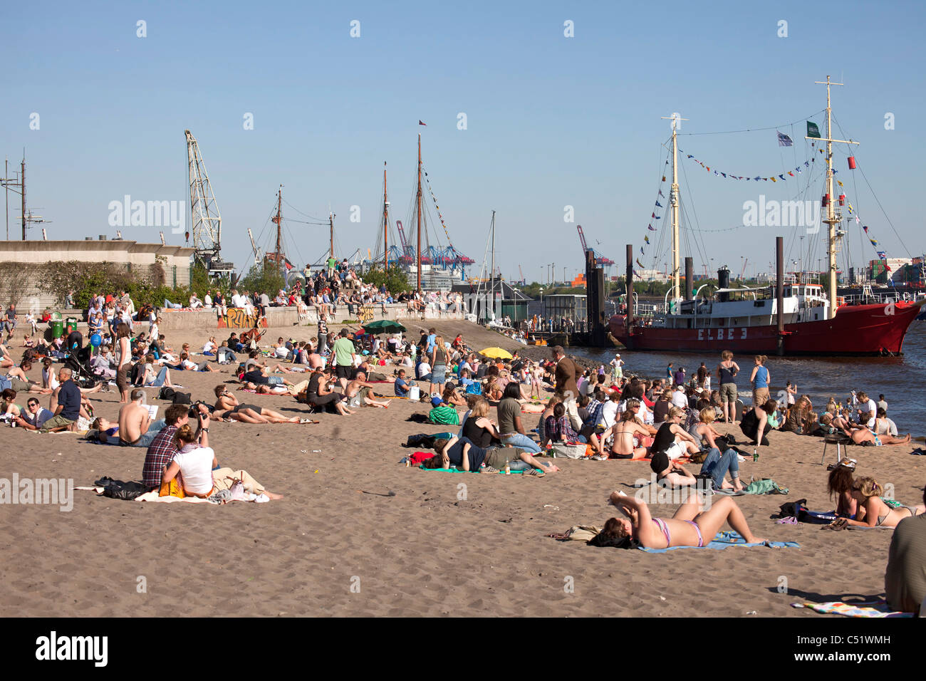 Sonnenanbeter, Fluss Elbe Ufer in Övelgönne, Hanse Stadt Hamburg, Deutschland, Europa Stockfoto