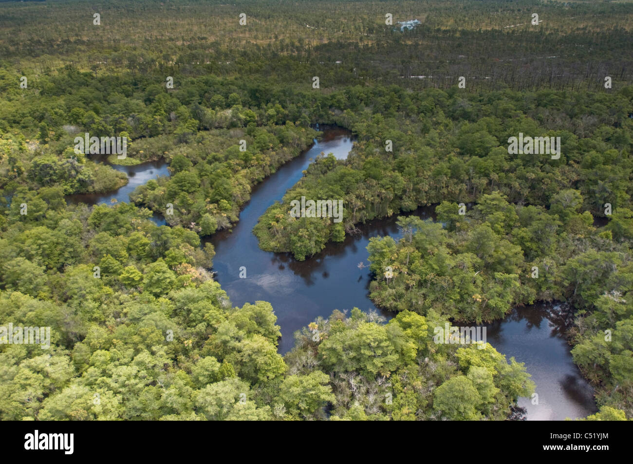 Loxahatchee River in Hobe Sound Florida Stockfoto