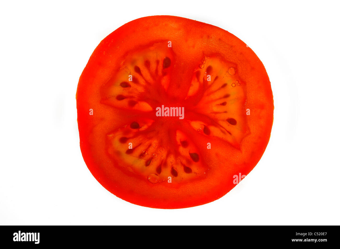 Scheibe Tomate (Solanum Lycopersicum / Lycopersicon Esculentum) auf weißem Hintergrund Stockfoto