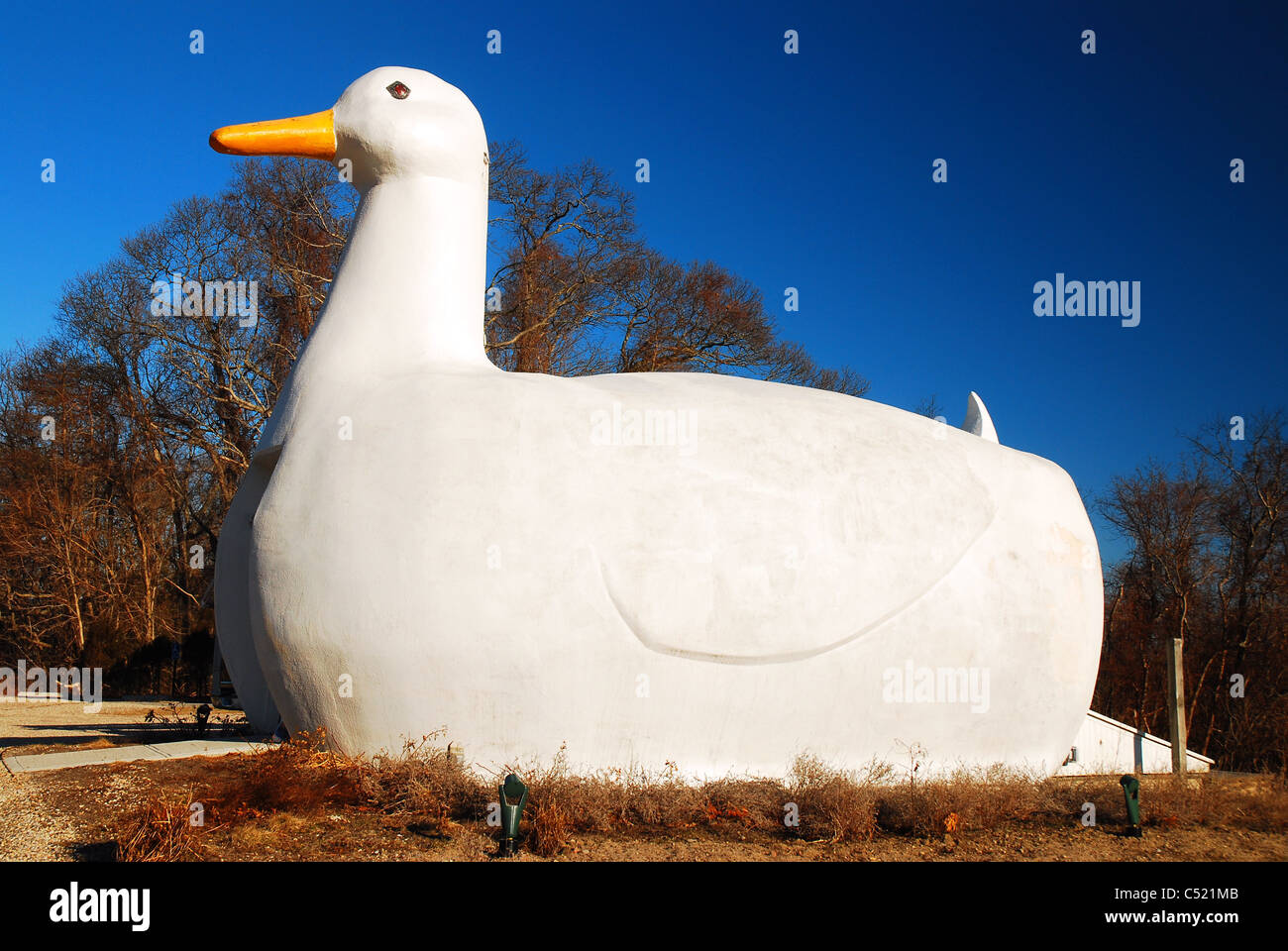 Die große Ente, eine am Straßenrand Attraktion in Flandern, Long Island, NY Stockfoto