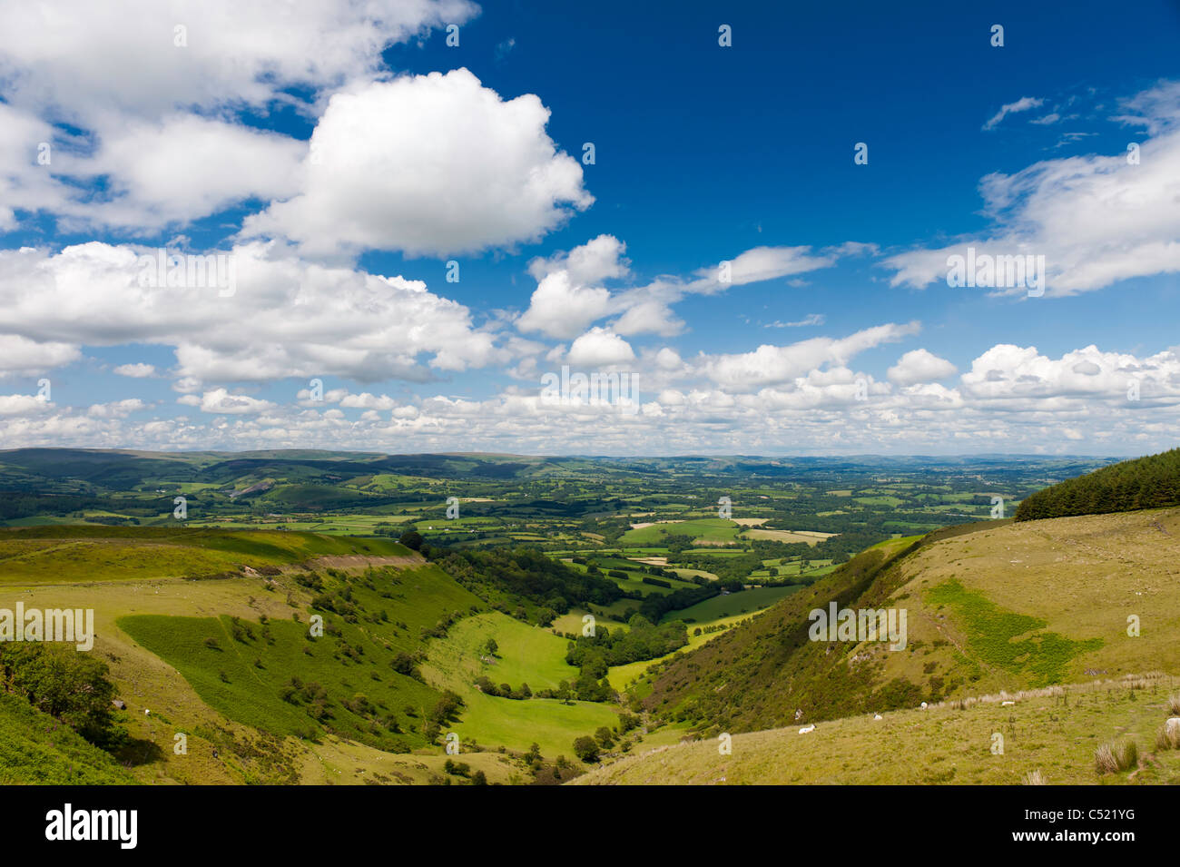 Garth Aussichtspunkt in Powys Mid Wales UK, geschwungene Blick und grünen Hügeln unter blauen Himmel und weiße flauschige Wolken zeigen Stockfoto