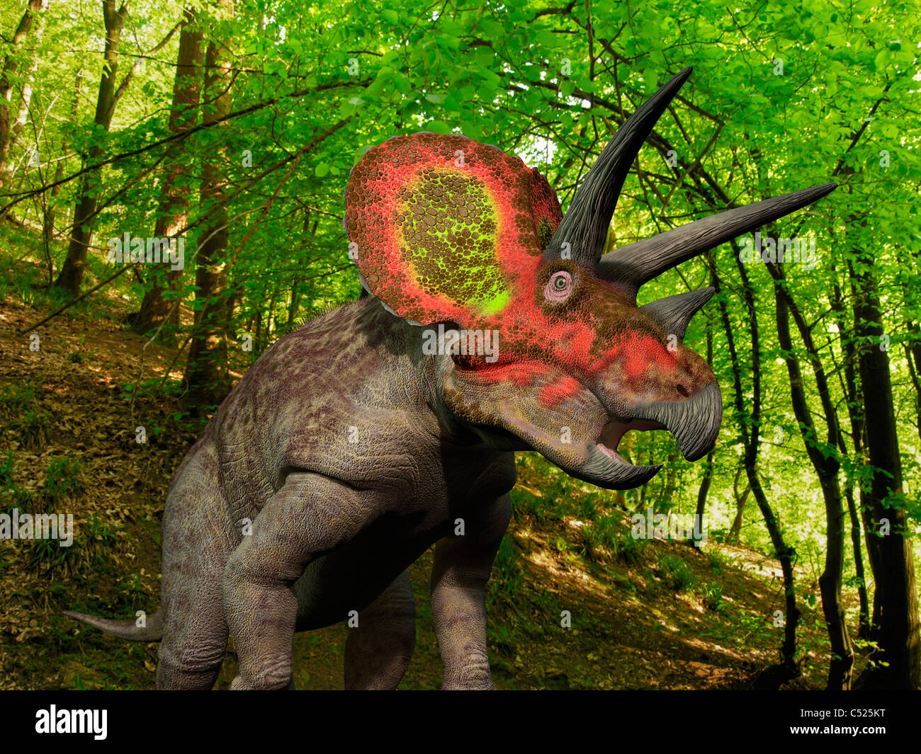 Ein zehn Tonnen Triceratops wandert einen kreidigen Wald 68 Millionen Jahren im heutigen Westen der Vereinigten Staaten. Stockfoto
