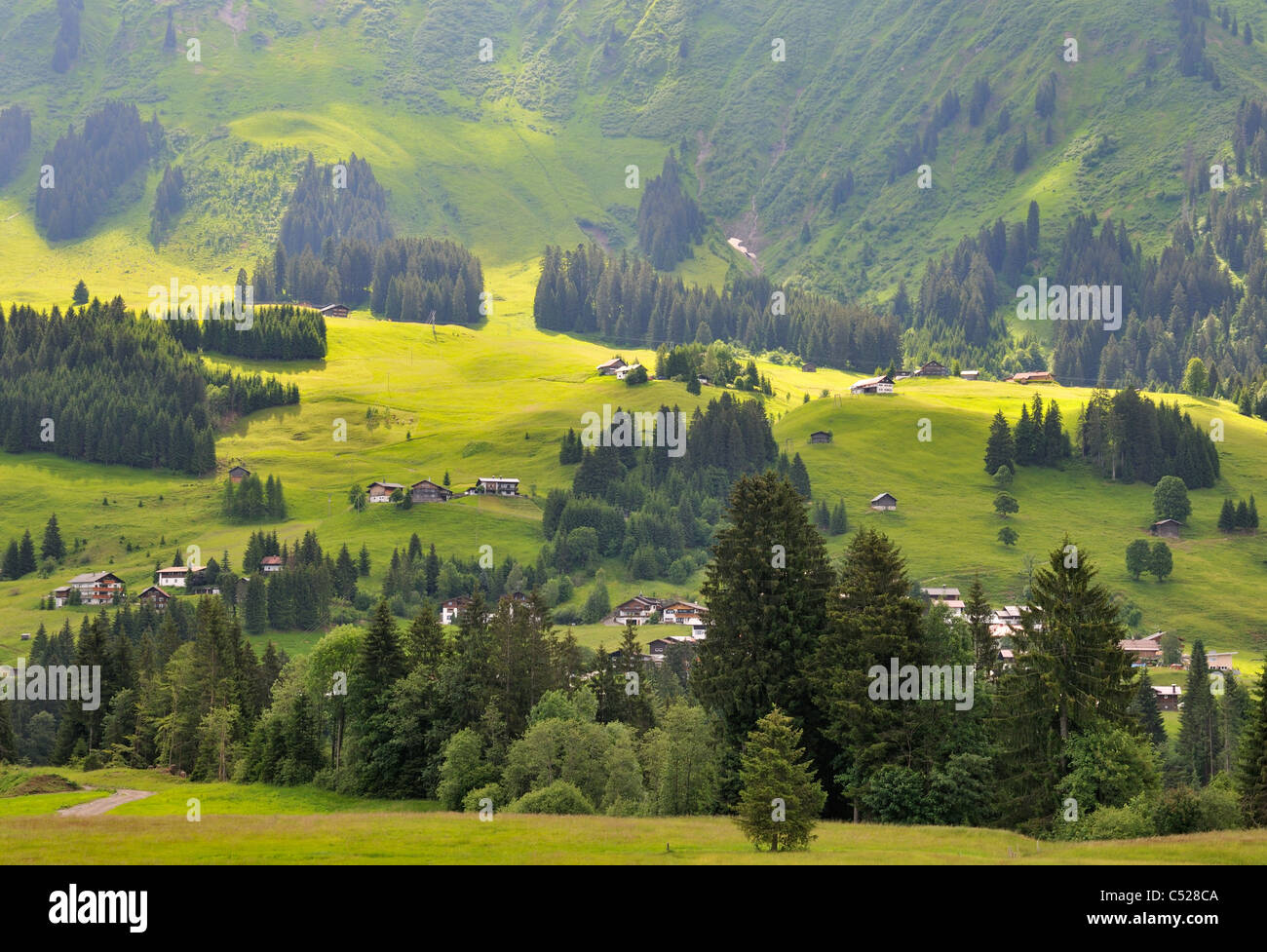 Kleinwalsertal-Tal, Allgäuer Alpen, Vorarlberg, Österreich Stockfoto