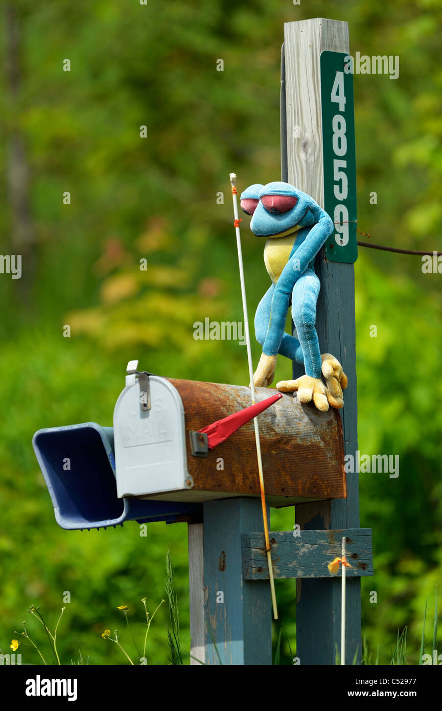 Eine Froschpuppe auf einem offenen Briefkasten, Vergennes VT Stockfoto