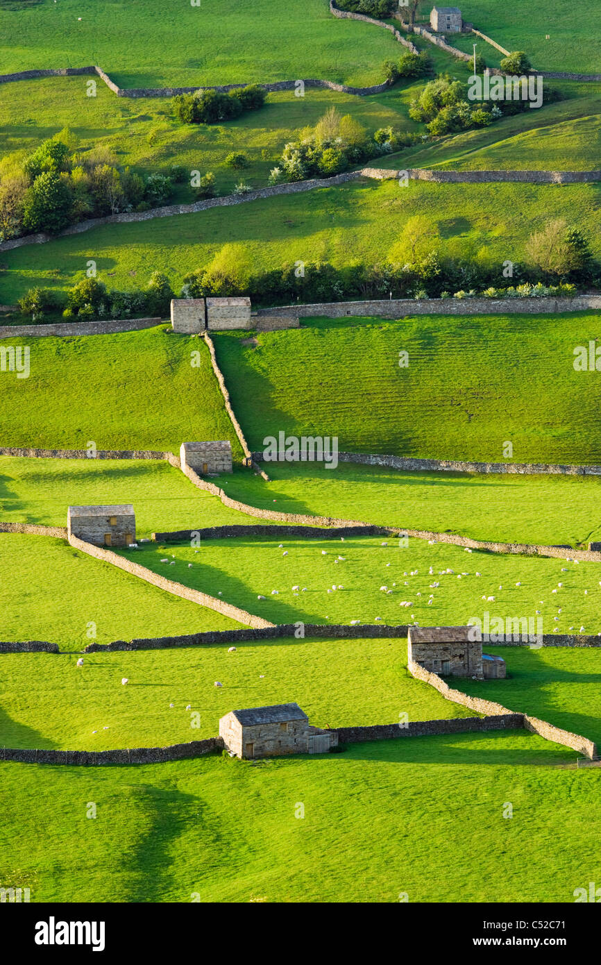 Gunnerside, Swaledale, Yorkshire Dales National Park, UK Stockfoto