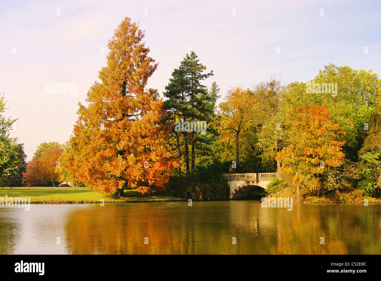 Woerlitzer Park Neue Bruecke englische Garten von Wörlitz