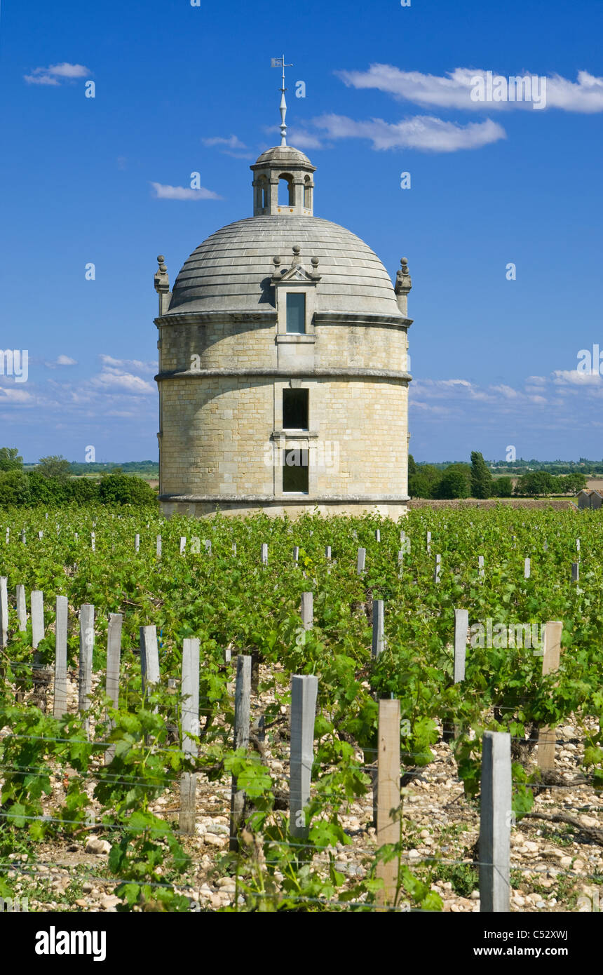 Der Turm am Château Latour an einem klaren sonnigen Tag Stockfoto