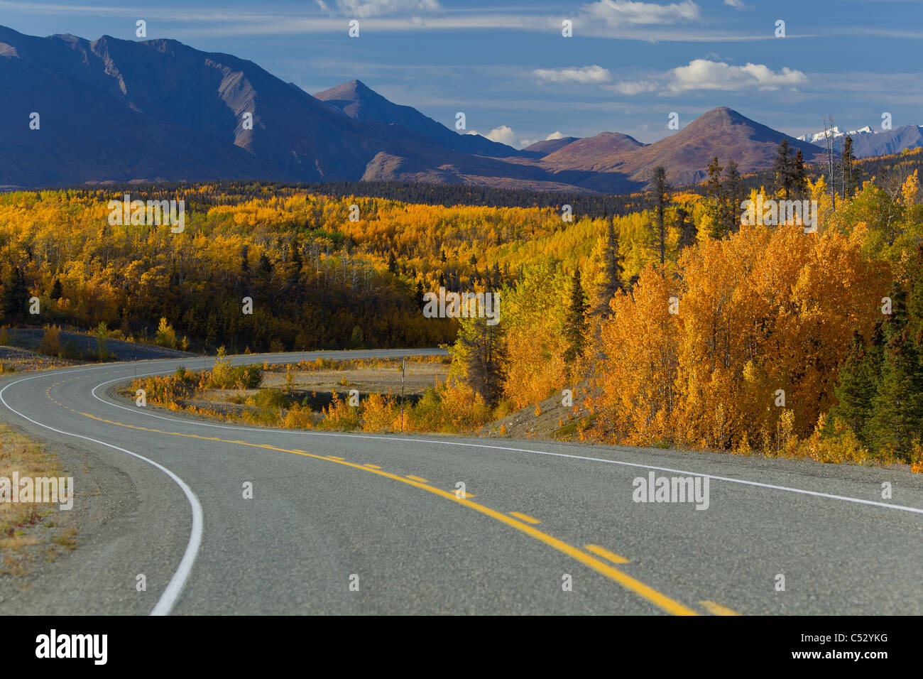 Herrliche Sicht auf den Alaska Highway zwischen Haines, Alaska und Haines Junction, Yukon Territorium, Kanada, Herbst Stockfoto