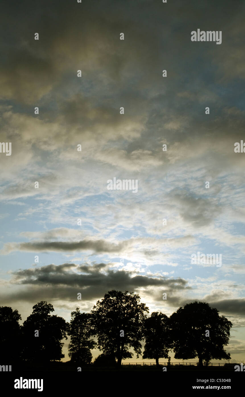 Eine Reihe von Silhouette Bäume gegen eine dramatische Abend Himmel und Wolken in einer ländlichen Gegend Chilterns Bucks UK Stockfoto