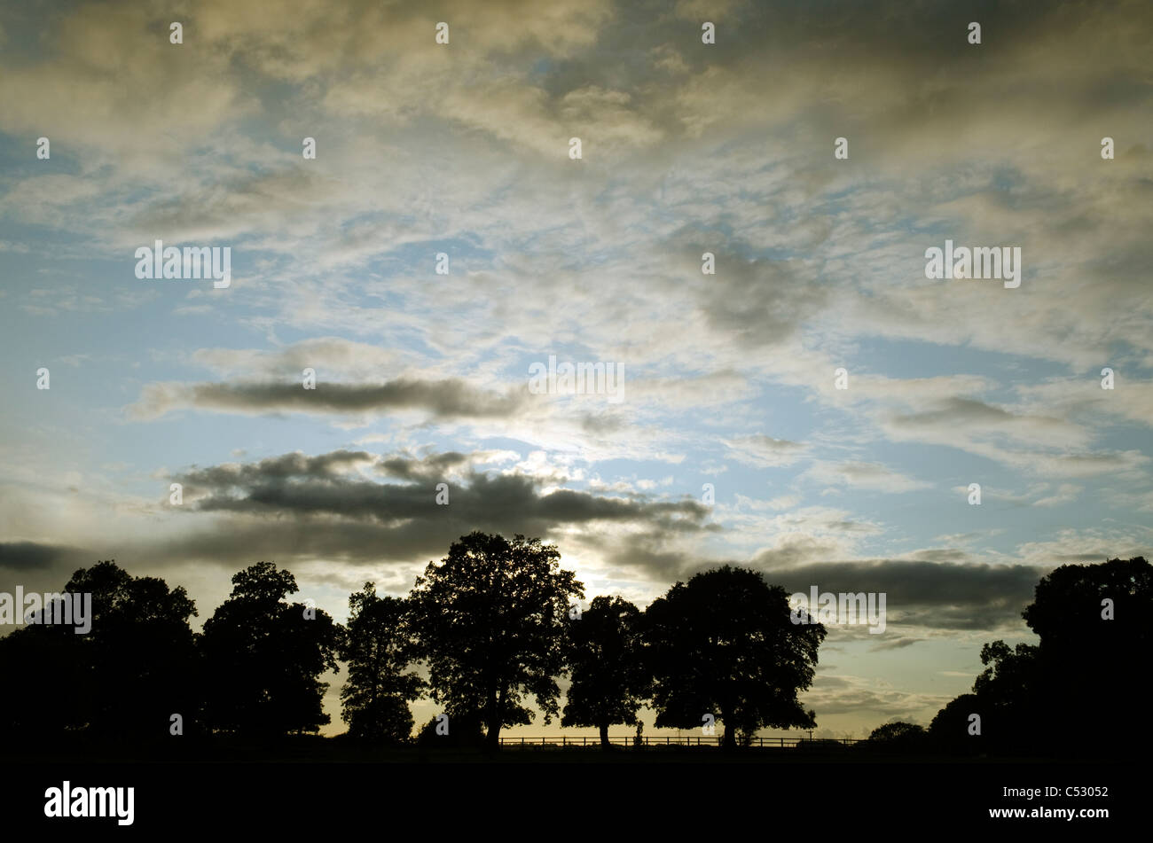 Eine Reihe von Silhouette Bäume gegen eine dramatische Abend Himmel und Wolken in einer ländlichen Gegend Chilterns Bucks UK Stockfoto