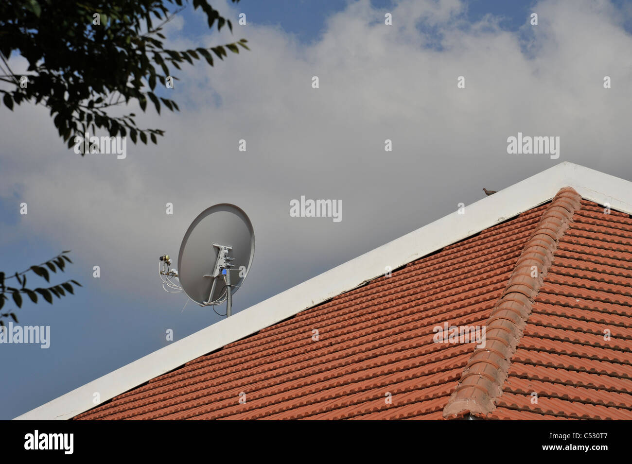 Dach eines Hauses mit einer Satellitenschüssel Stockfoto
