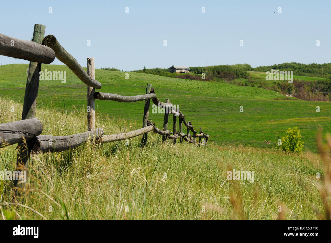 Eine alte Holzzaun führt in ein Feld in Saskatchewan, Kanada. Stockfoto