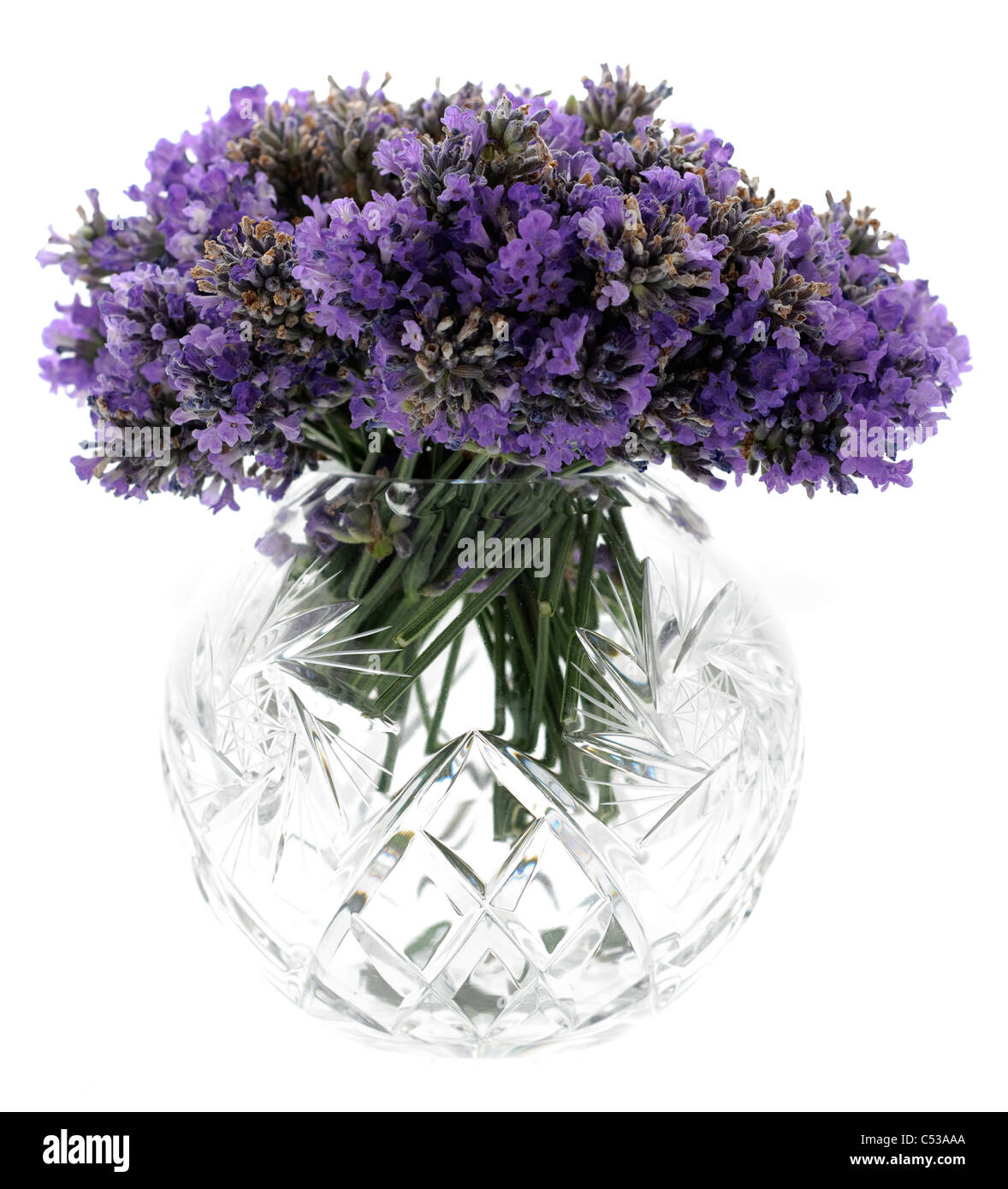 Frische Schnittblumen Lavendel in einem kreisförmigen geschliffenes Glas-Behälter Stockfoto