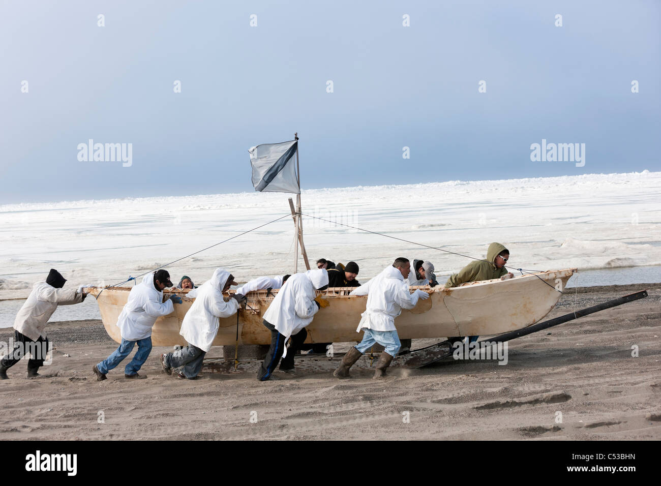 Walfang-Crew schiebt ihre Umiaq neben dem Chuchki Meer Eis am Ende des Walfangs Frühjahrssaison in Barrow, Alaska Arktis, Sommer Stockfoto