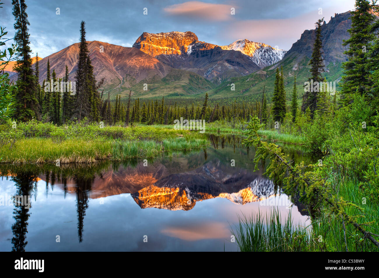 Reflexion von Skookum Vulkan in einem Teich in der Nähe von Nabesna Road bei Sonnenuntergang im Wrangell St. Ellias-Nationalpark, Alaska, Sommer Stockfoto