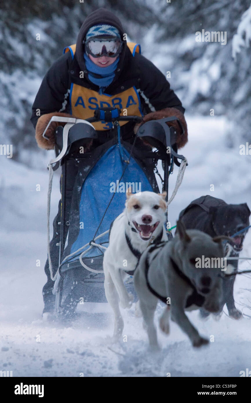 Musher Rennen in Lake Memorial Race Tozier Track, Anchorage, Alaska Yunan, Winter Stockfoto