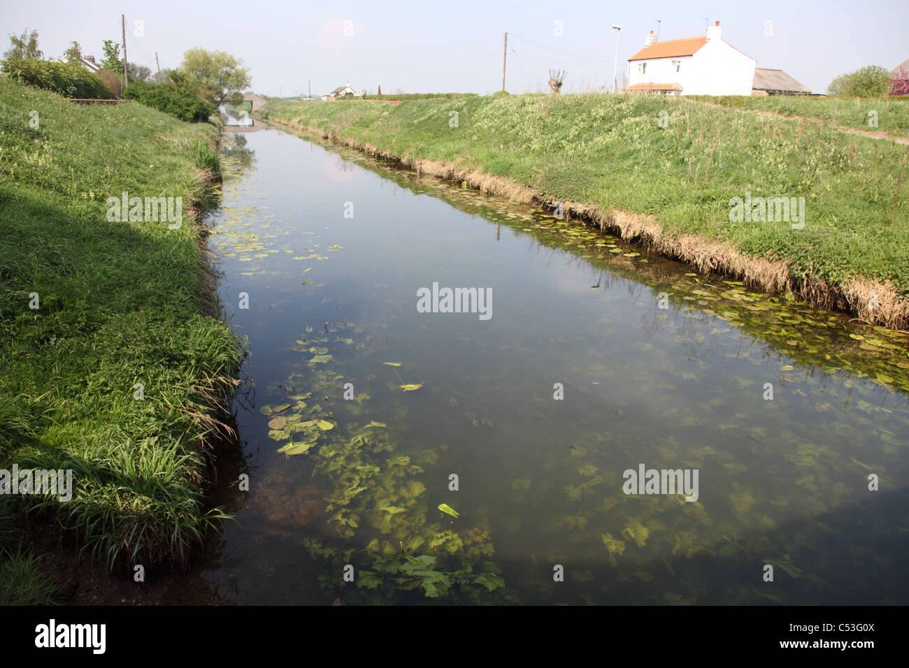 Market Weighton Kanal im Frühsommer Stockfoto