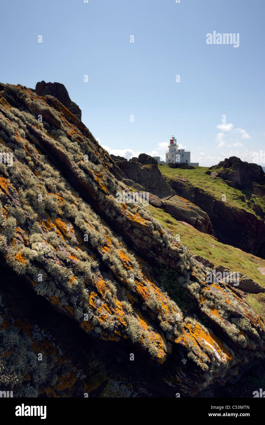 Flechten bedeckt Felsen vor Skokholm Leuchtturm Stockfoto