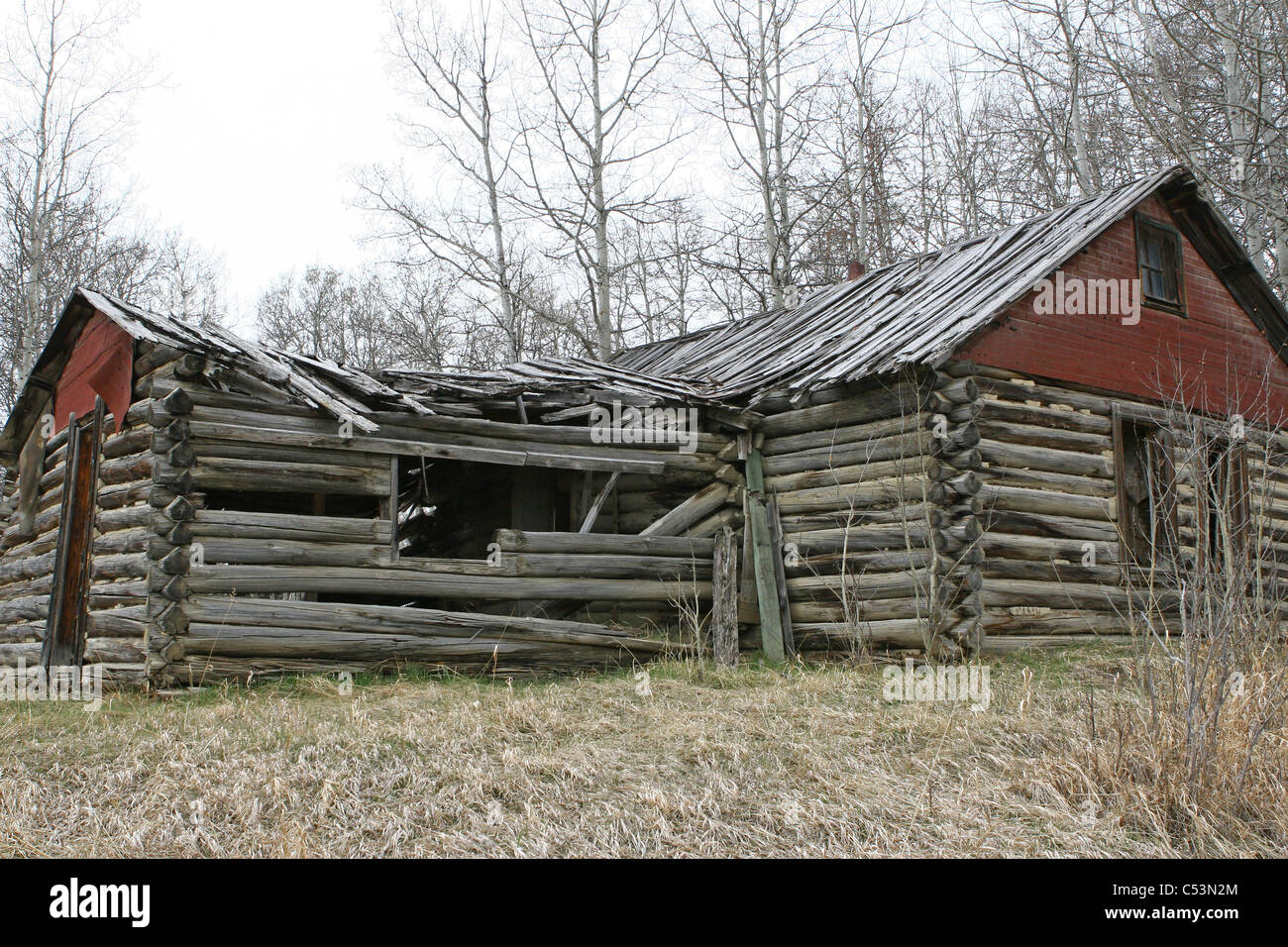 Alte verlassene Blockhaus in dem Land, umgeben von Bäumen und Ackerland.  Dach eingestürzt und einstürzenden Mauern. Stockfoto