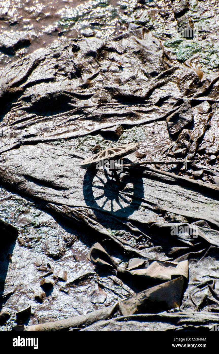 Treibgut an den Ufern des Flusses Clyde gefunden. Stockfoto