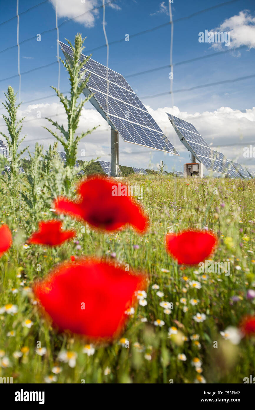 Ein Photovoltaik solar Kraftwerk in der Nähe von Caravaca, Andalusien, Spanien, mit wilden Blumen. Stockfoto