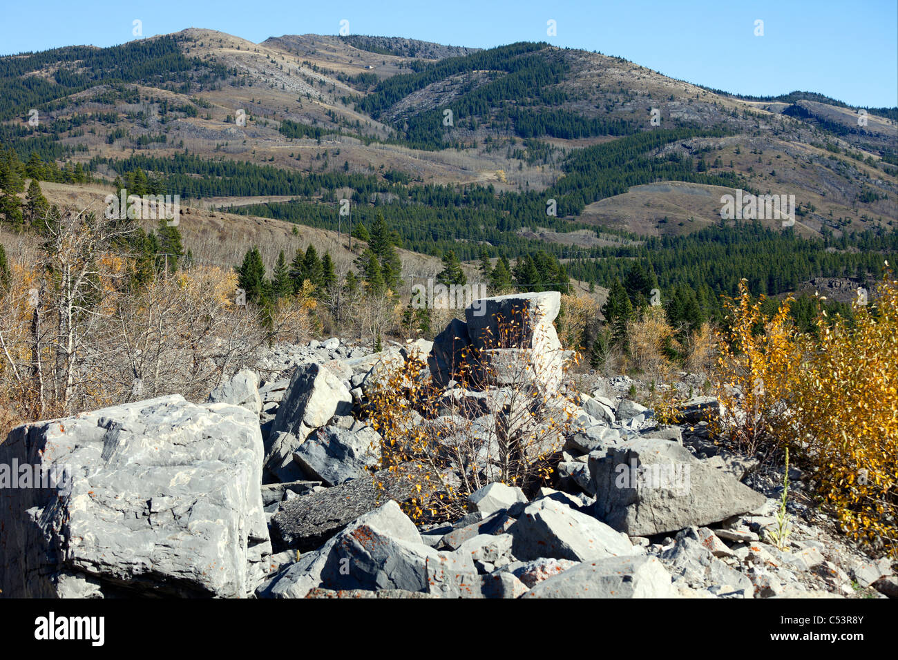 Steinen aus dem Frank Slide Katastrophe, Alberta, Canada Stockfoto