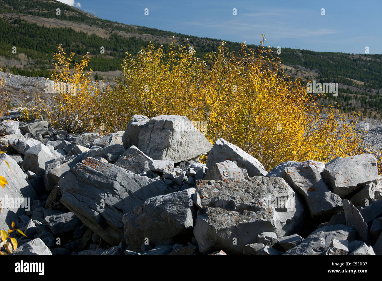 Steinen aus dem Frank Slide Katastrophe, Alberta, Canada Stockfoto
