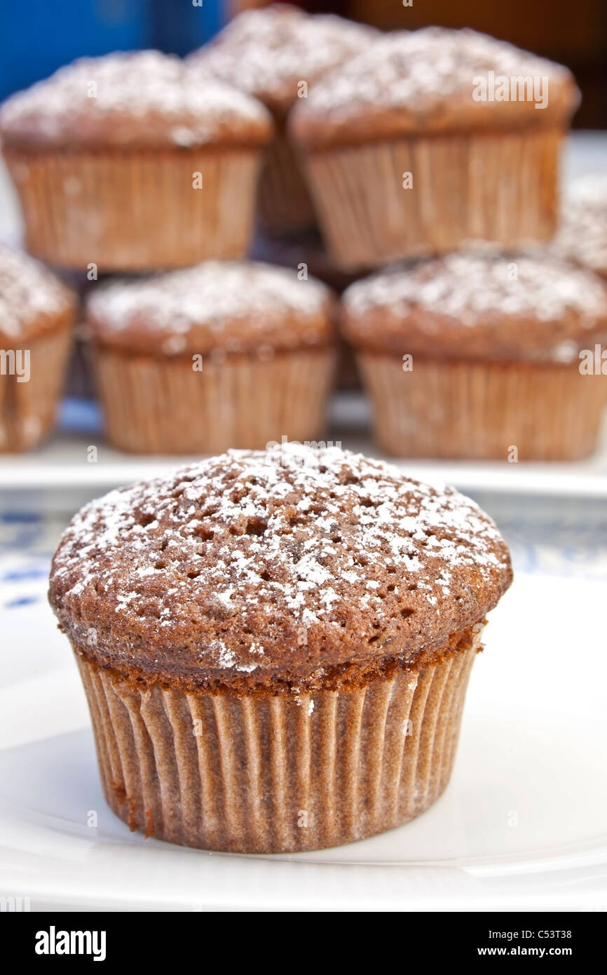 frisch gebackenes Schokoladen-Muffins mit Puderzucker bestreut Stockfoto