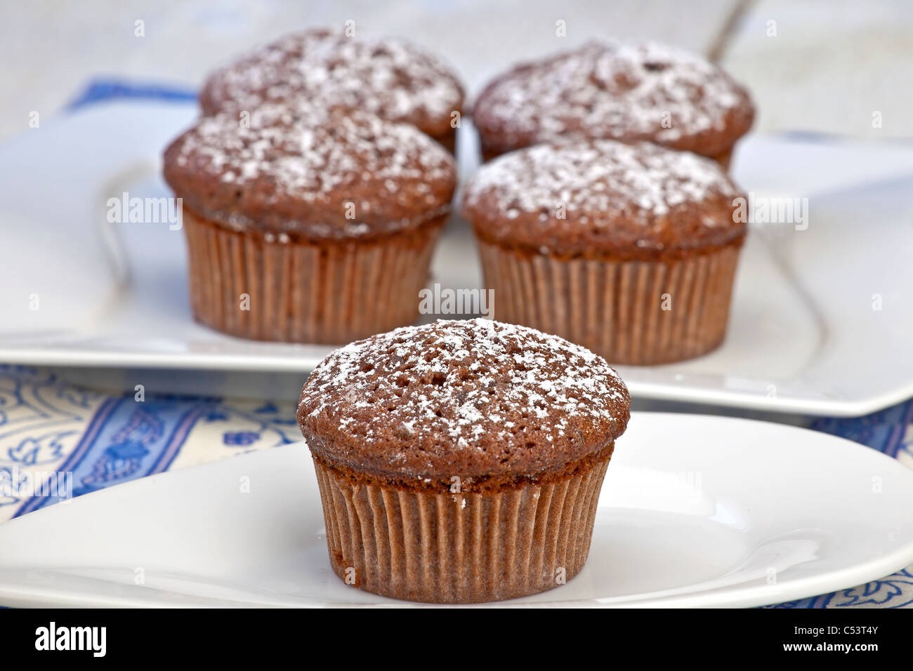 frisch gebackenes Schokoladen-Muffins mit Puderzucker bestreut Stockfoto