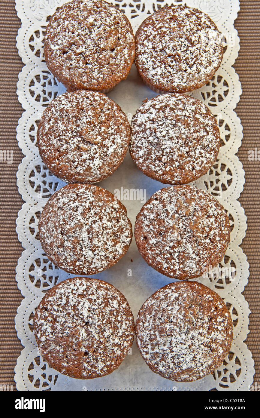 frisch gebackenes Schokoladen-Muffins mit Puderzucker bestreut Stockfoto