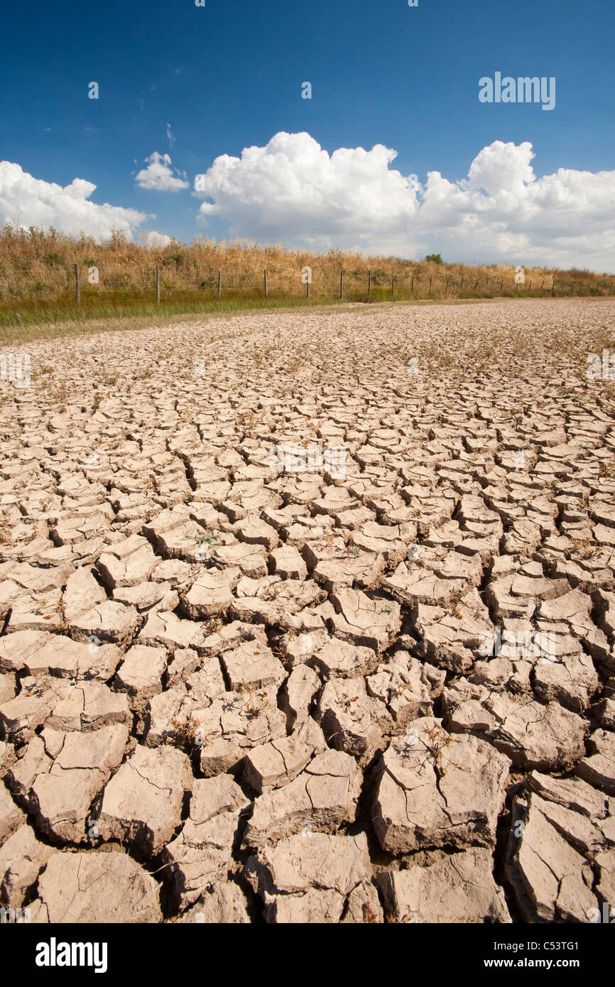 Trockenrisse in der Coto Donana, Andalusien, Spanien, einer der meisten wichtig Feuchtgebiet Tierwelt Standorte in Europa. Stockfoto