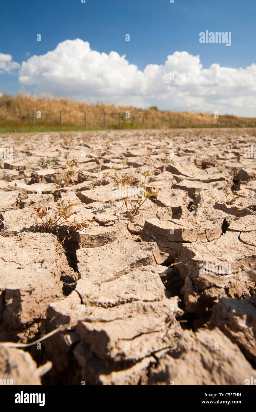 Trockenrisse in der Coto Donana, Andalusien, Spanien, einer der meisten wichtig Feuchtgebiet Tierwelt Standorte in Europa. Stockfoto