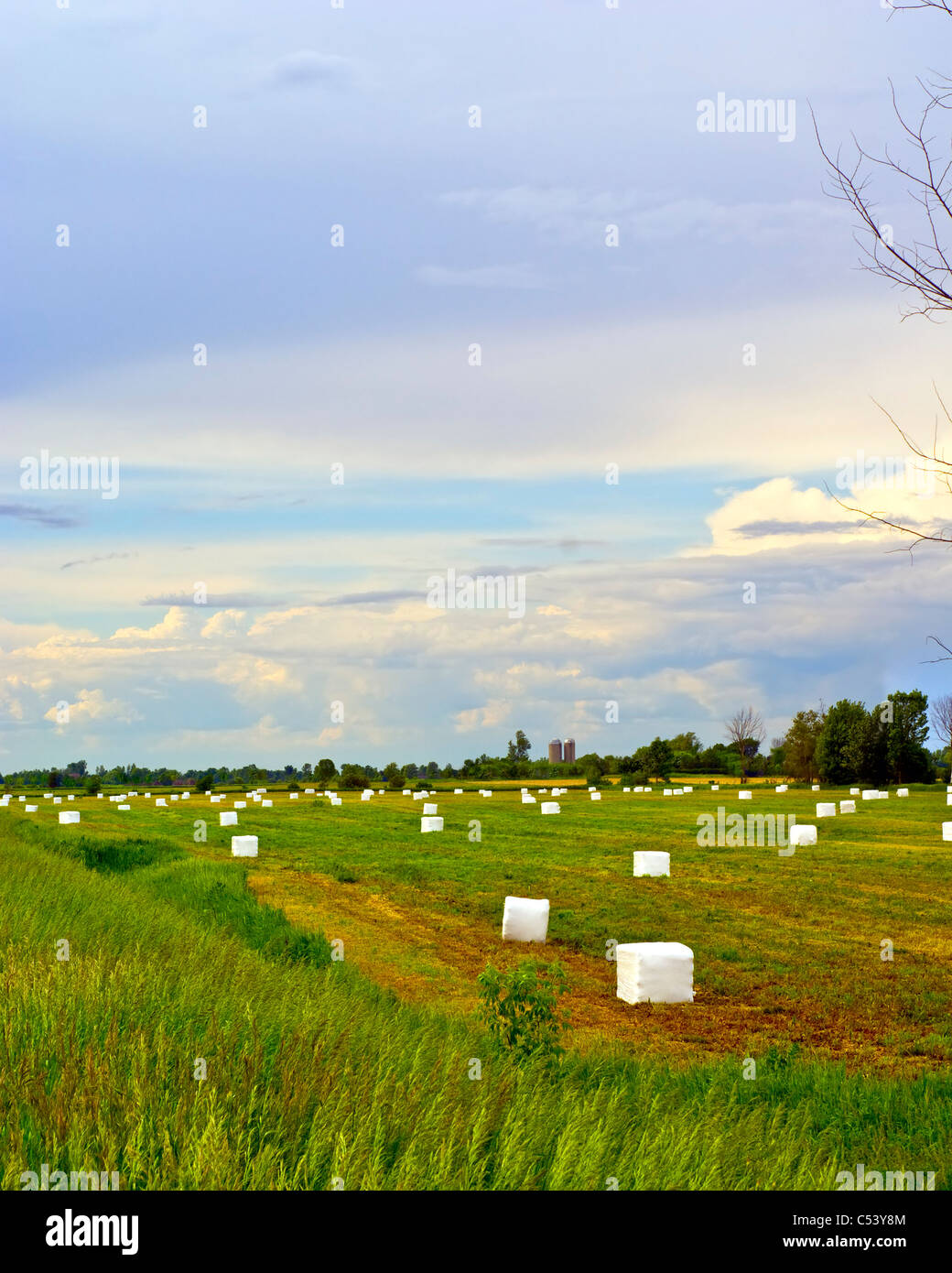 Kunststoff überdachte Heuballen in einen Acker Stockfoto