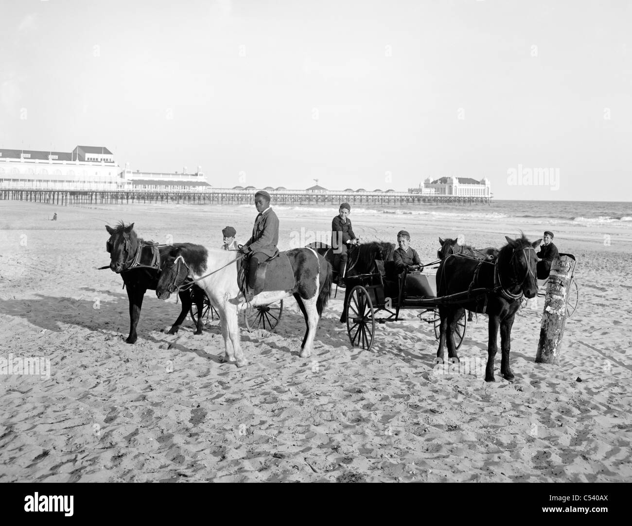 Pferde am Strand in Atlantic City, New Jersey, um 1900 Stockfoto