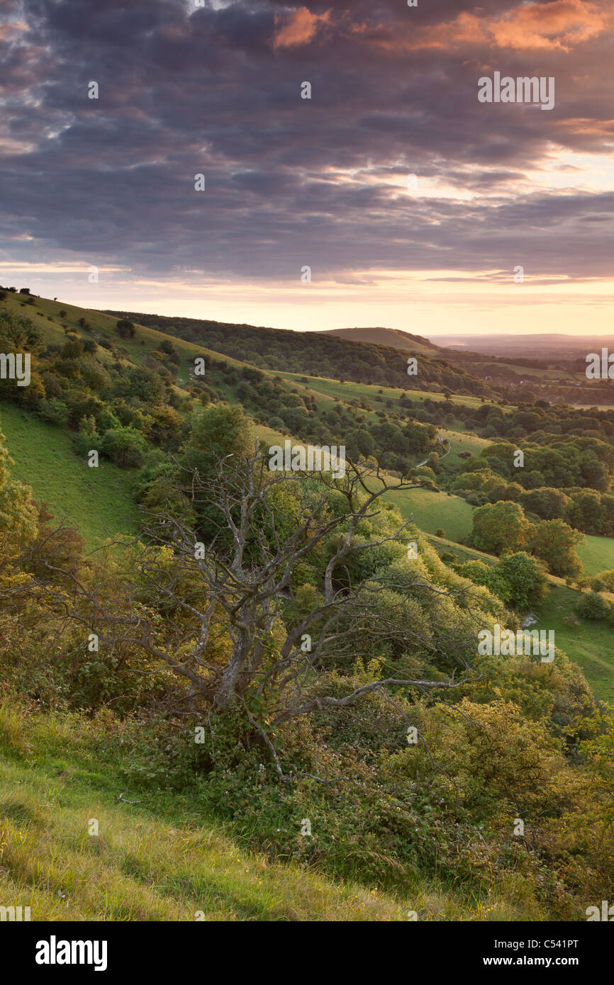 Einen wunderschönen Sonnenuntergang über der South Downs National Park in der Nähe von Ditchling Beacon, East Sussex, England, UK Stockfoto