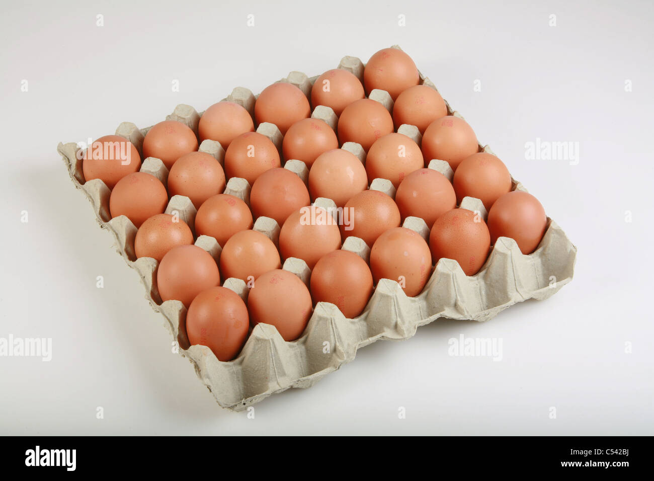 Tablett mit braunen Hühnereier auf weißem Hintergrund Stockfoto