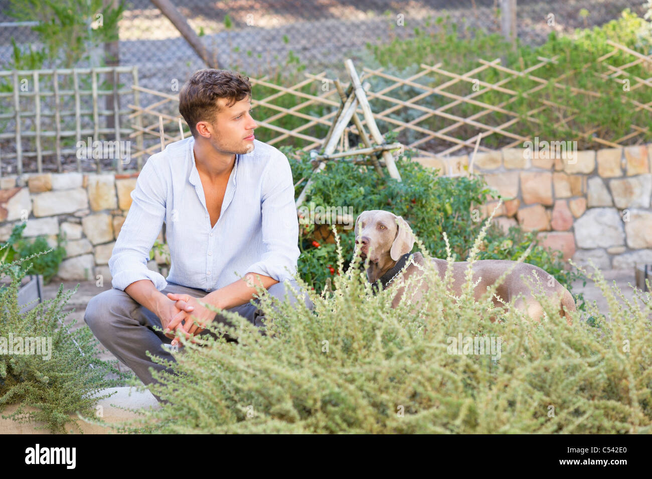 Mann und hund, die eine ansicht betrachten Stockfotos und bilder