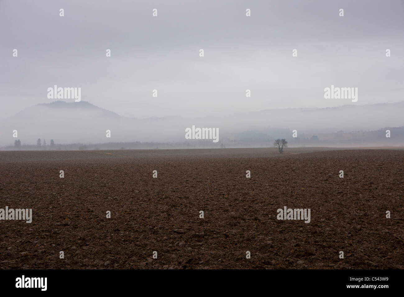 Ackerland, überdeckt mit einer dicken Schicht aus Nebel und schwacher Umriss der Landschaft Stockfoto