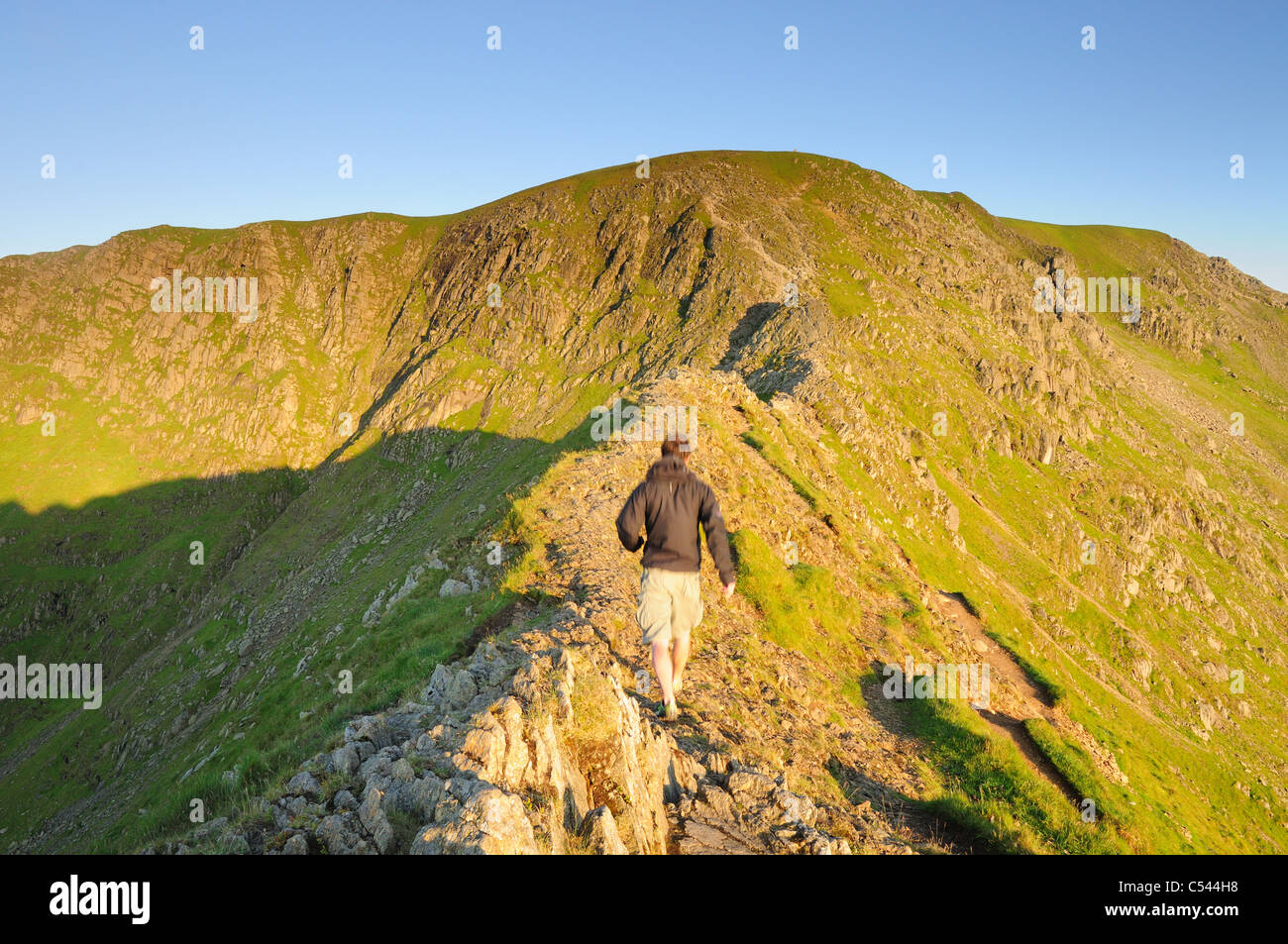 Walker auf Striding Edge in der Morgendämmerung im Sommer im englischen Lake District Stockfoto