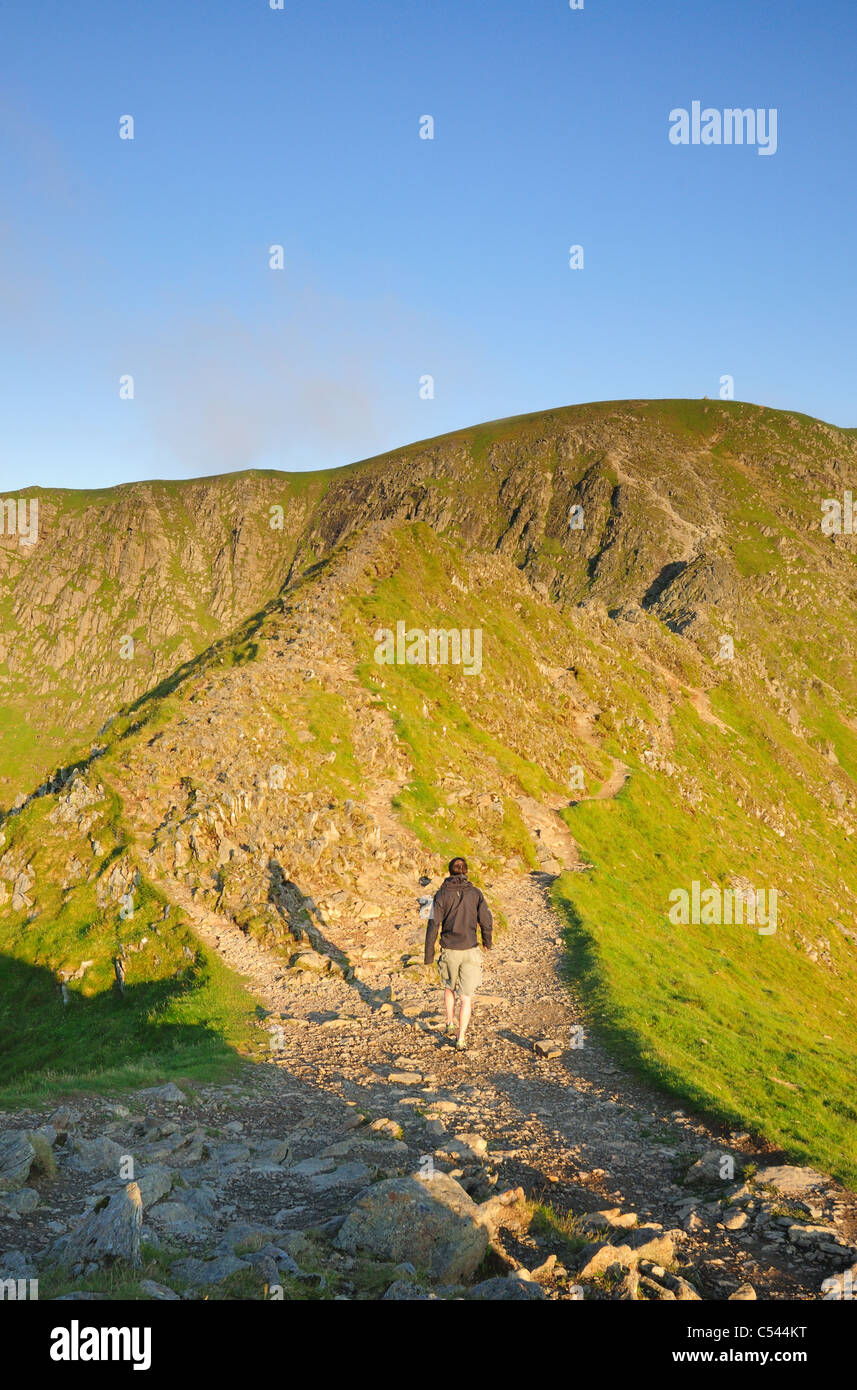 Walker nähert sich Striding Edge und Lakelandpoeten im Sommer im englischen Lake District Stockfoto