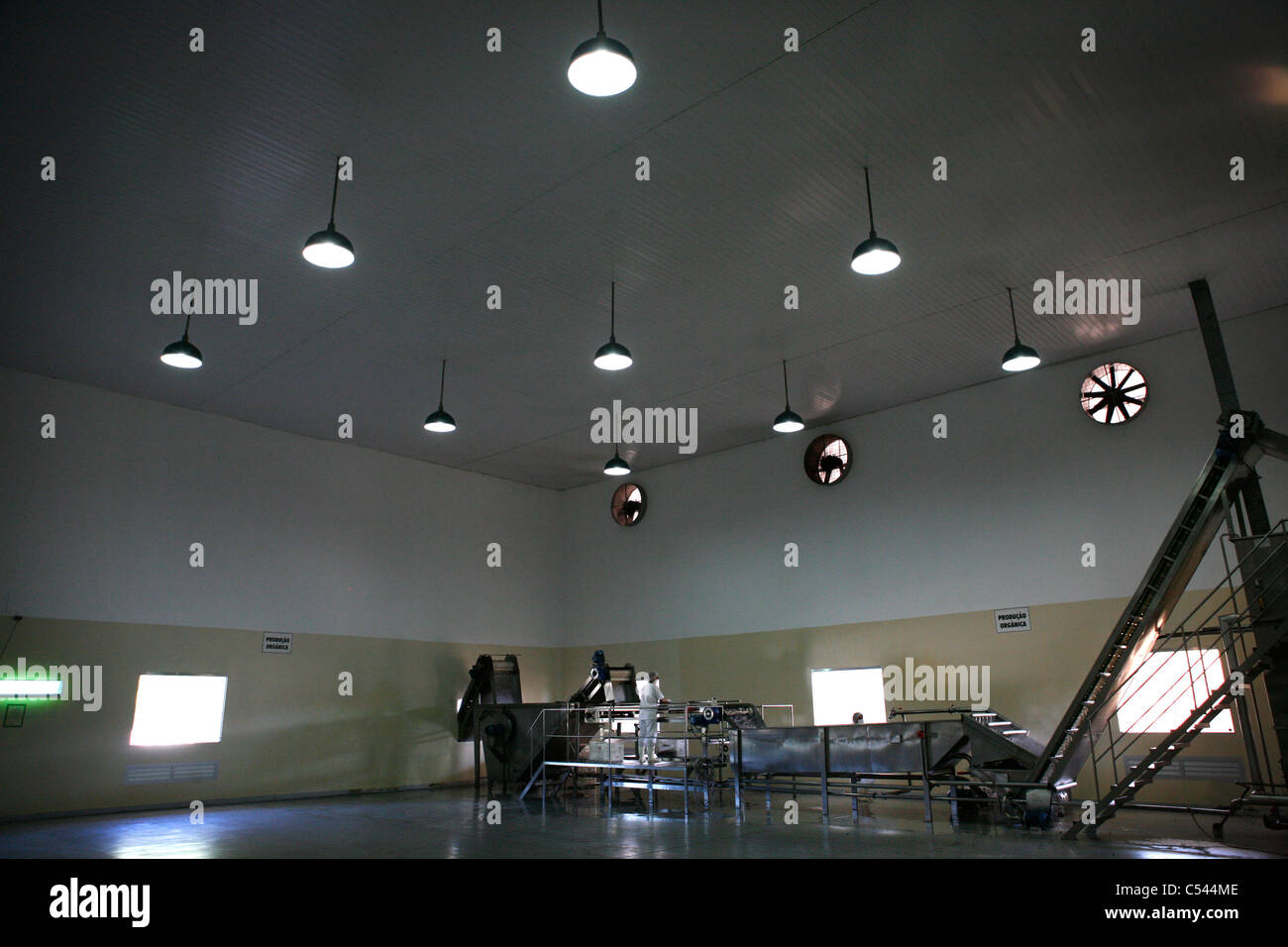 Ribeirinhos (Fluss Personen) die Aufbereitungsanlage Sambozan Acai Acai bereitzustellen. Macapa. Stockfoto