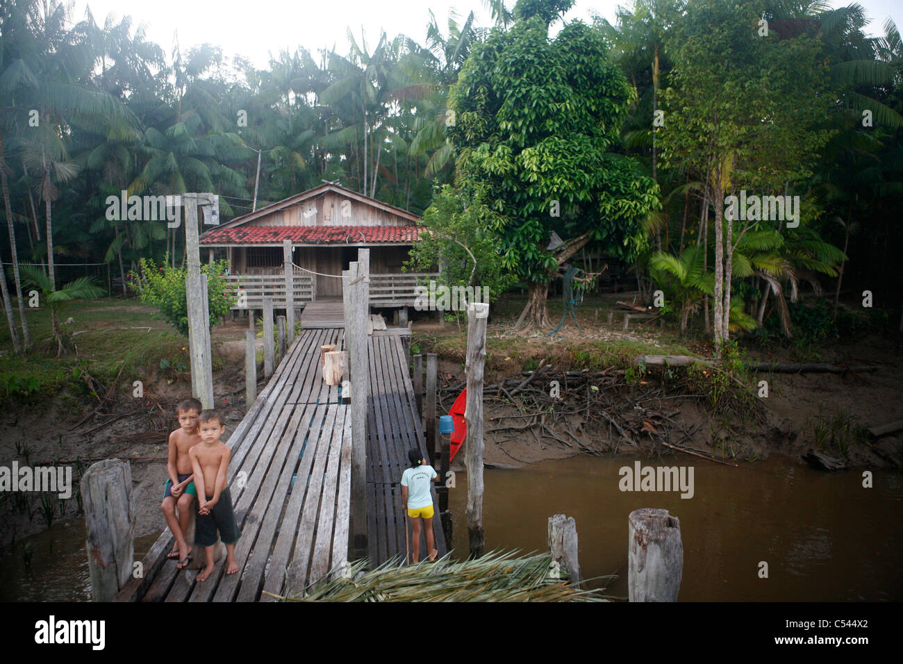 Ribeirinhos (Fluss Menschen) Leben am Fluss Picanco, Amazonas-Mündung. Stockfoto