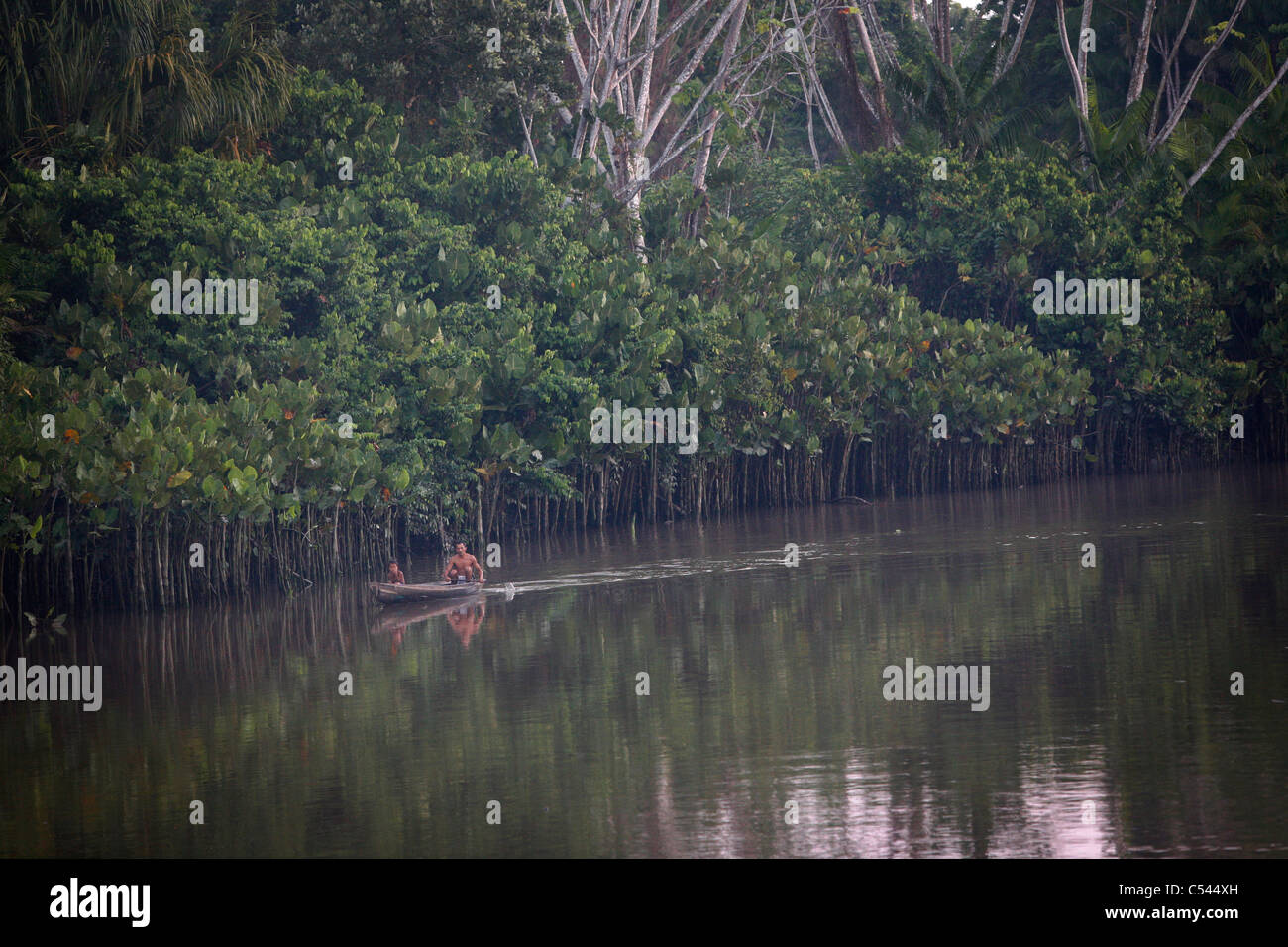 Ribeirinhos (Fluss Menschen) Leben am Fluss Picanco, Amazonas-Mündung. Stockfoto
