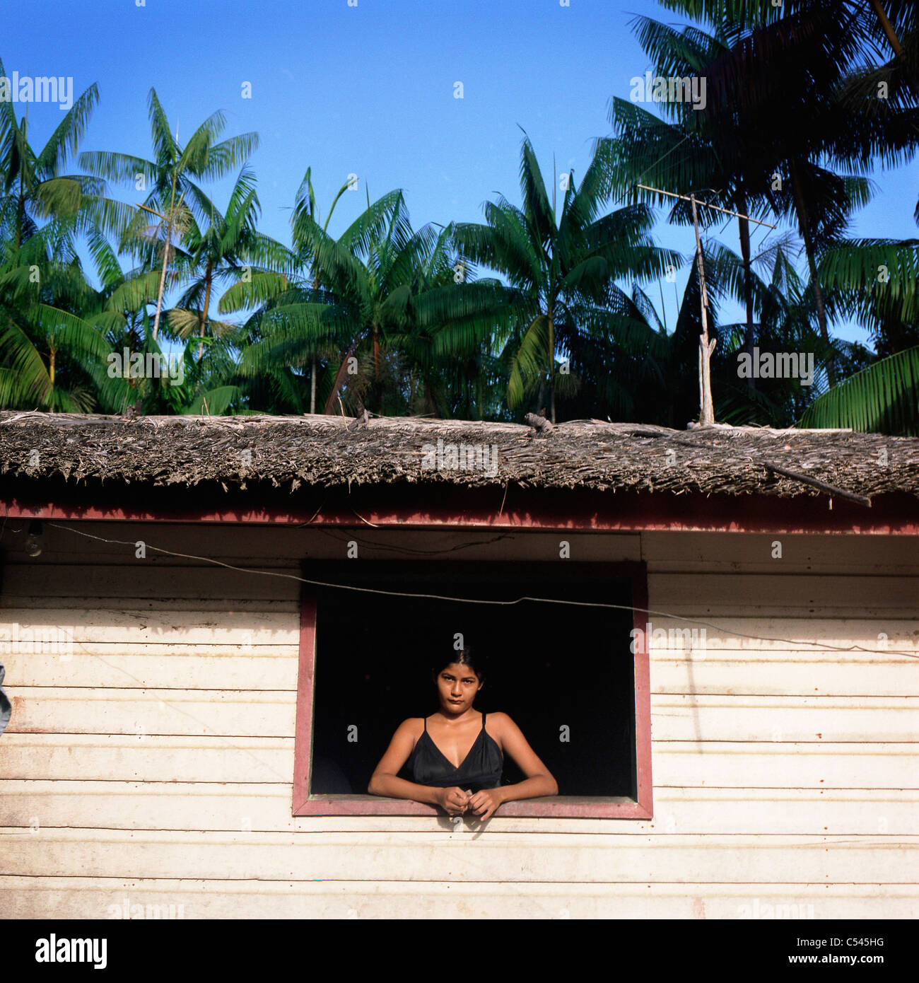 Ribeirinhos (Fluss Menschen) Leben am Fluss Picanco, Amazonas-Mündung. Stockfoto