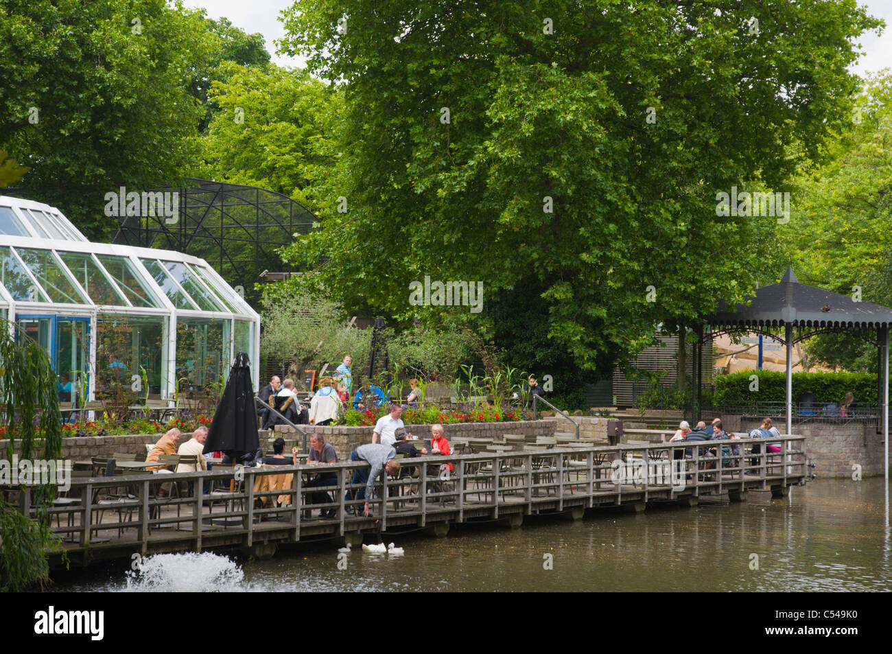 Artis sitzen Fotos und Bildmaterial in hoher Auflösung Alamy