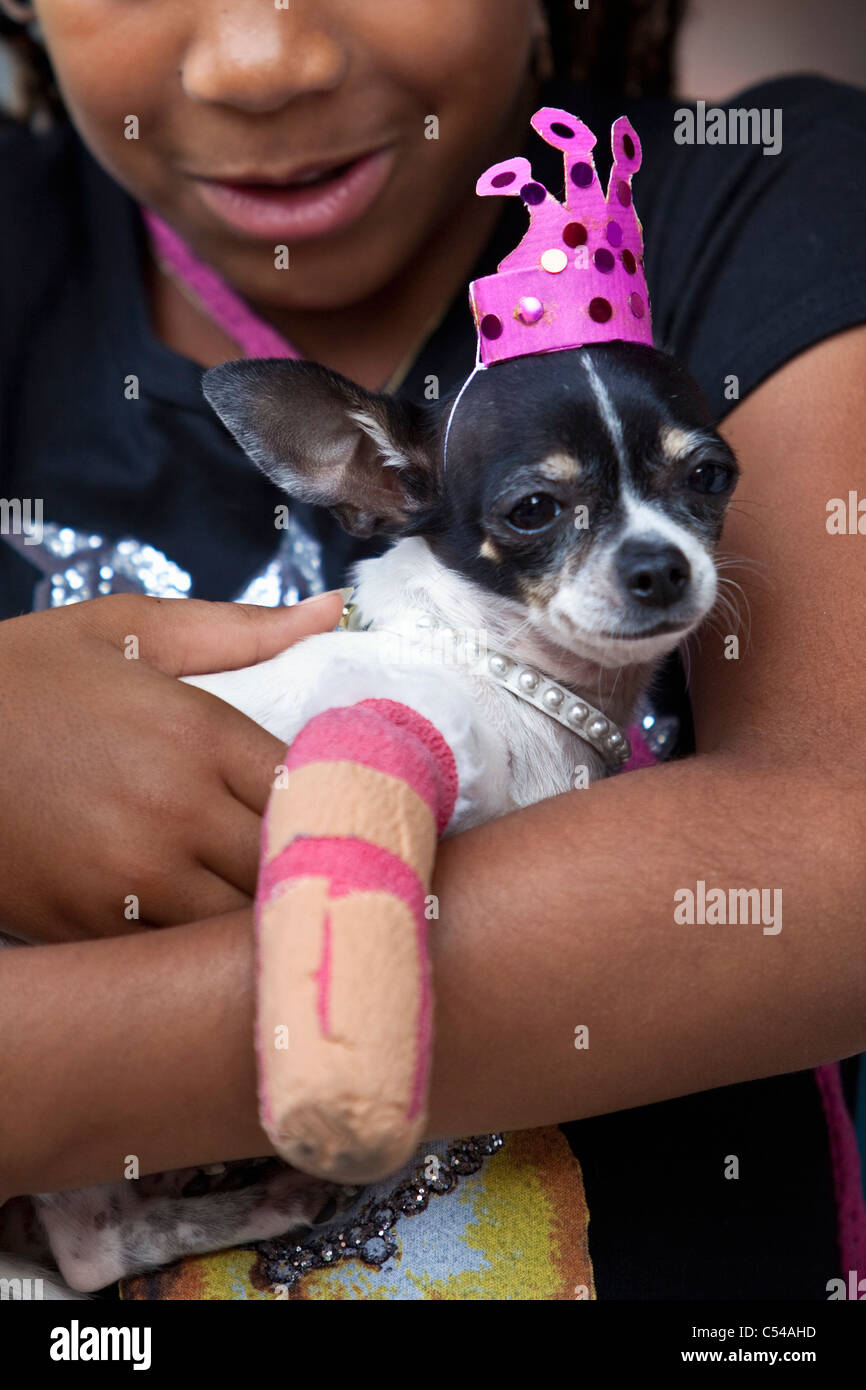 Die Niederlande, Amsterdam, Mädchen mit Hund mit Bandage. Stockfoto