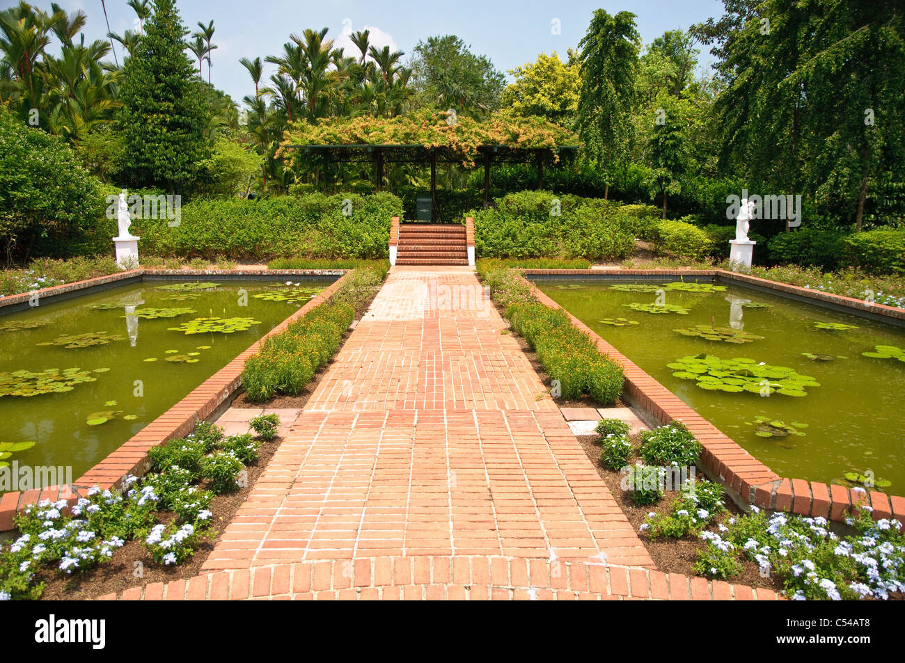 Singapore Botanic Gardens, Singapur, Südostasien, Asien Stockfoto